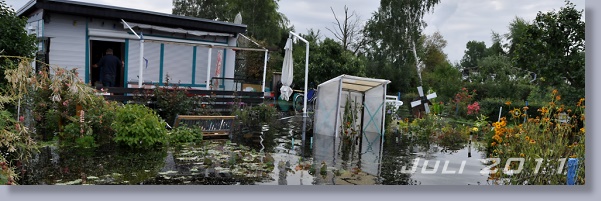 Bild des Monats Juli 2011 zum vergr&ouml;&szlig;ern klicken